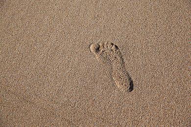 《波斯王子：Rogue》配置及新预告片公布